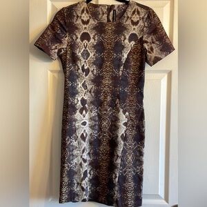 W118 by Walter Baker Bodycon Snakeskin Short Sleeve Back Zip Dress, sz S